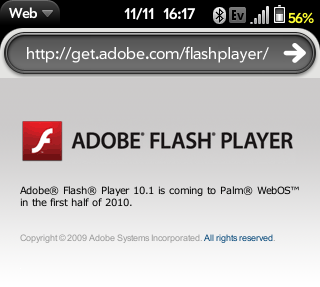 flash player version 10.1